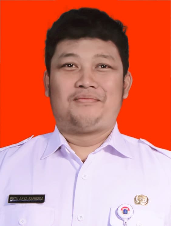 Putu Arya Ranesda, S.Kom.
