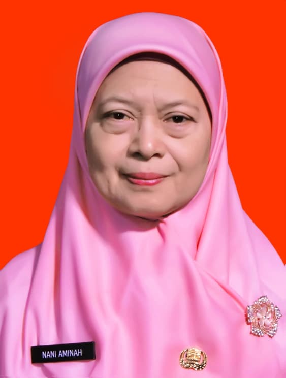 Nani Aminah, S.E.